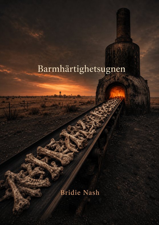 Omslag till boken ”Barmhärtighetsugnen” av Bridie Nash
