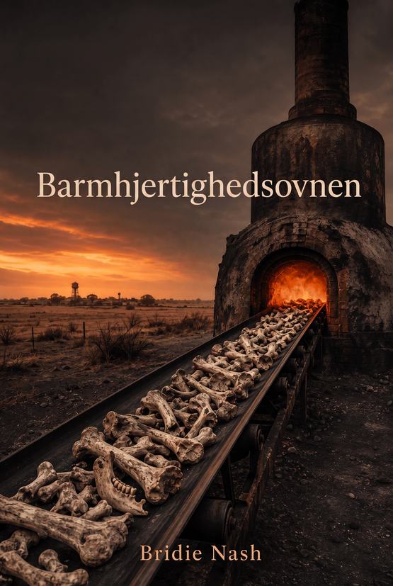 Omslag til bogen »Barmhjertighedsovnen« af Bridie Nash